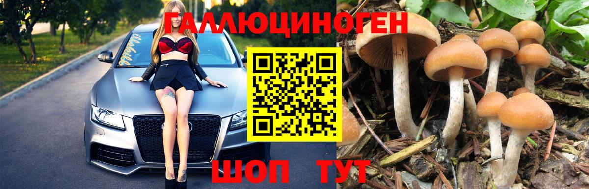 Галлюциногенные грибы MAGIC MUSHROOMS  Галлюциногенные грибы мицелий  Пушкино  Вход с VPN 
