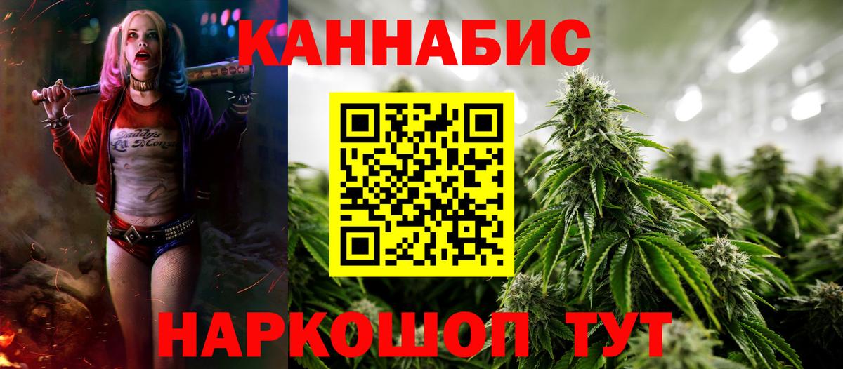 Каннабис конопля Пушкино
